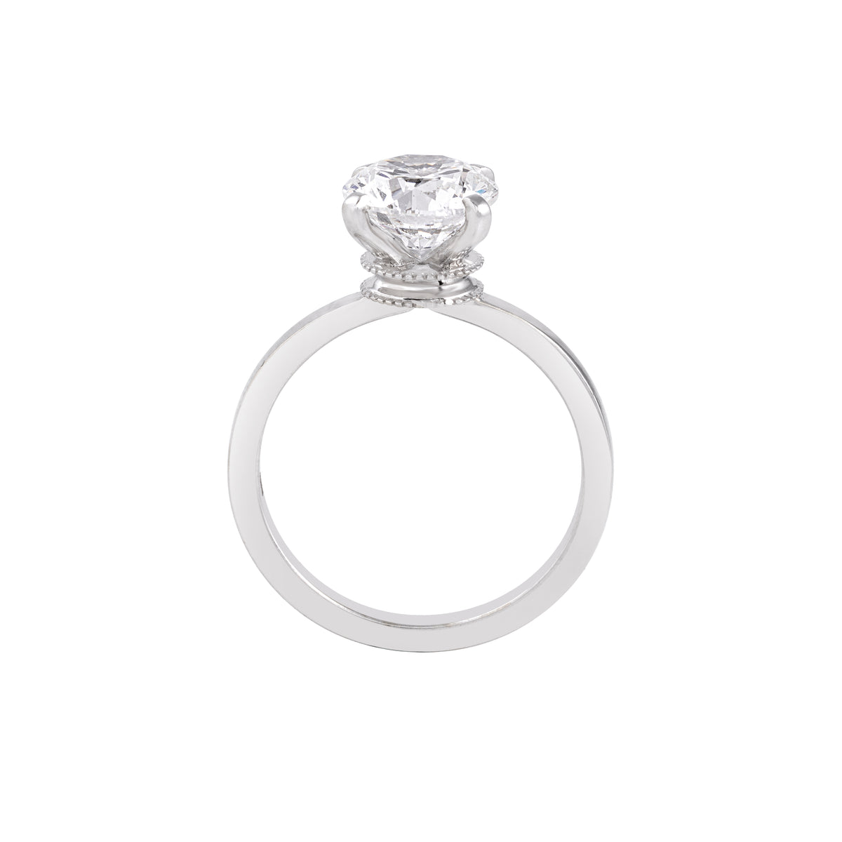 the elara ring - view 2